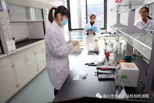 追夢奔跑 建功競賽